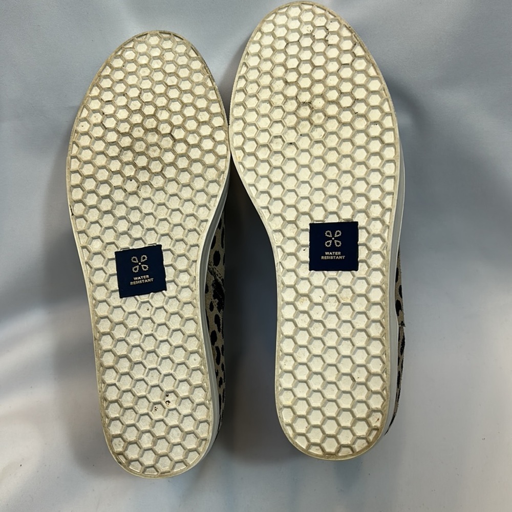 Caslon Aidy Water Resistant Leather Platform Sneaker-Size 6.5 NWOB - Picture 8 of 8